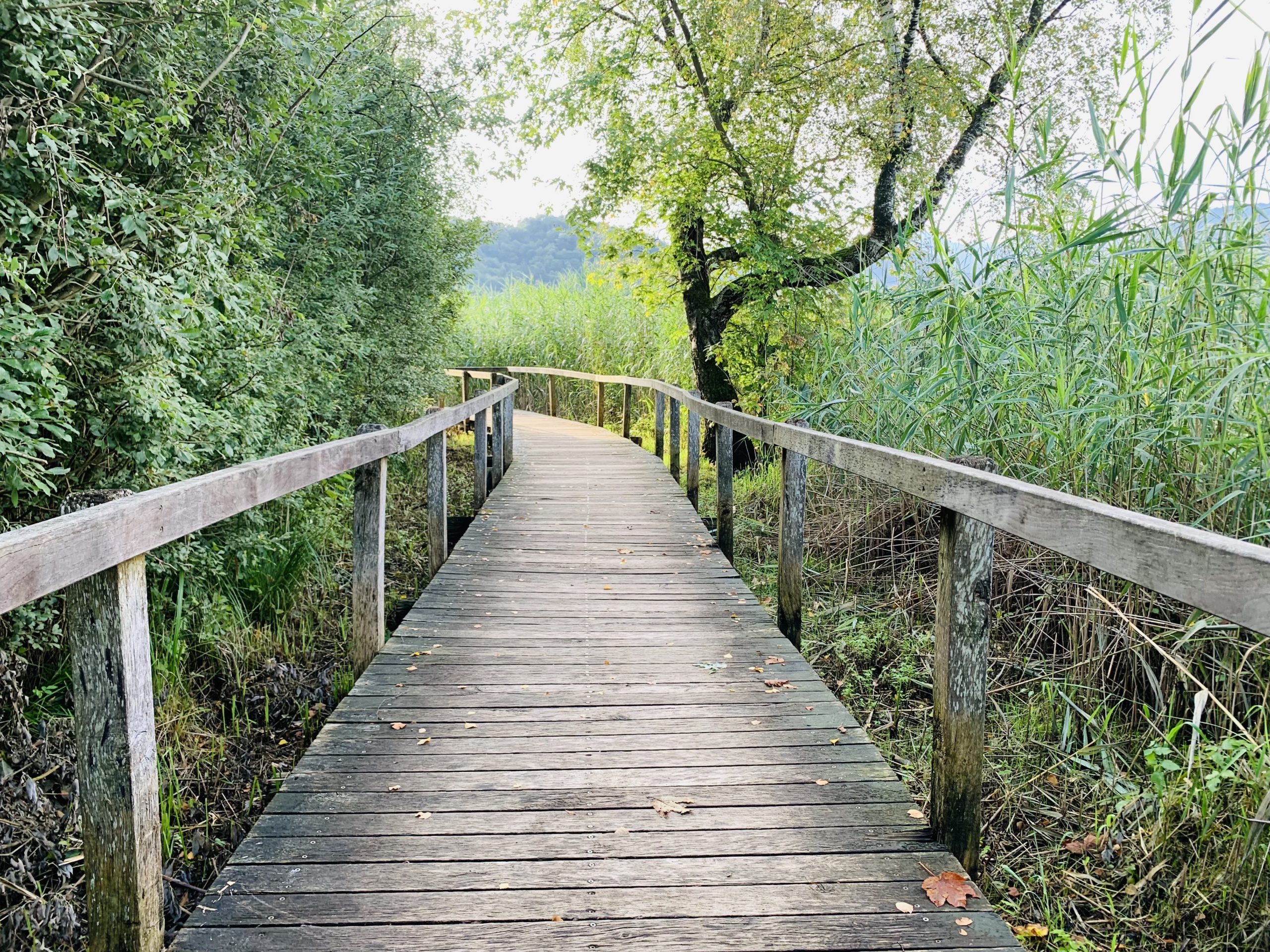 Der Weg ist das Ziel
